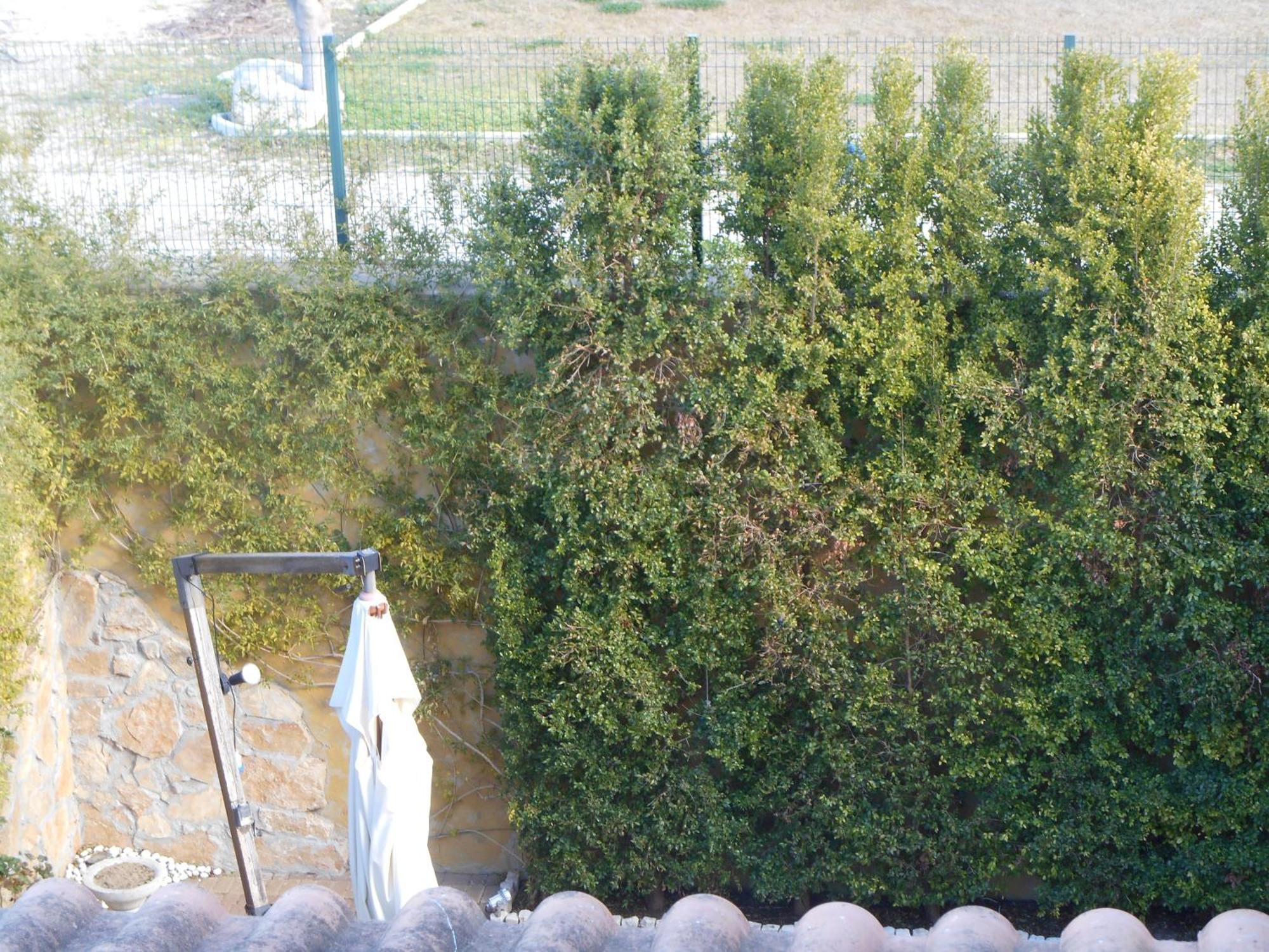 Bed & Breakfast Giardini Di Marzo Lecce Bagian luar foto