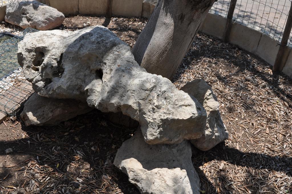 Bed & Breakfast Giardini Di Marzo Lecce Bagian luar foto