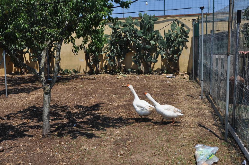 Bed & Breakfast Giardini Di Marzo Lecce Bagian luar foto