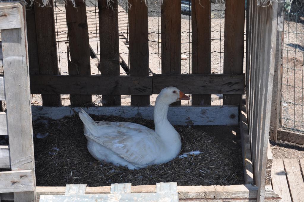 Bed & Breakfast Giardini Di Marzo Lecce Bagian luar foto